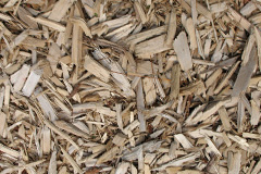 biomass boilers Erriottwood